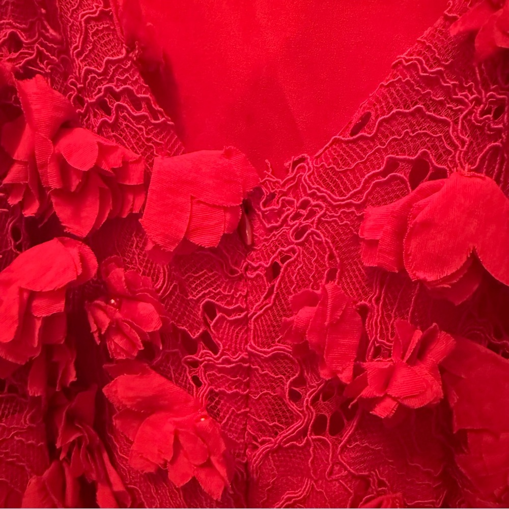 Red Floral Appliqué Lace Midi Dress – NWT – Size 8 - Picture 15 of 15